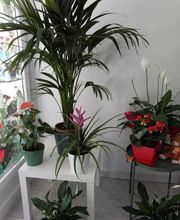 interior2.jpg