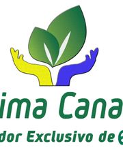 Domingo Mario Jerez Alamo imagen 2