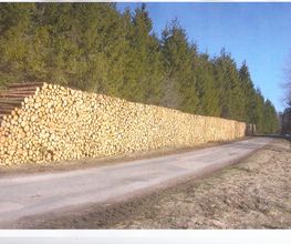 BBH GmbH Holzhandel Bild 1