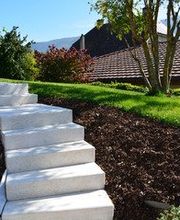 Crudo Frères Bild 1