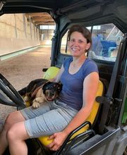 Pferdepensionsstall Bild 1