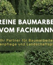 Astreine Baumarbeiten - zertifizierter Baumpfleger Sascha Huth Bild 1