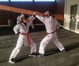 ASPB KARATE BUDO image 6