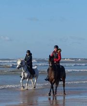 Gatineau Laurent image 2