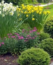 F&F Haus und Gartenservice Bild 1