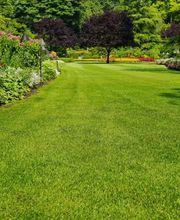 Rasenflächen anlegen