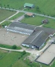 Equitation Passion image 12