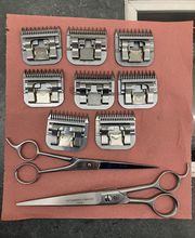 L'affûteur Gascon image 12