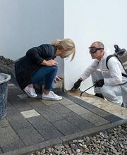 Schädlingsbekämpfung Renoth Bild 2