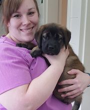 Chateau Dog & Cat Hospital image 5
