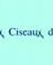 Aux Ciseaux d'Or image 5