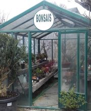 Viveiros Adoa, S.L. (Tameiga) imagen 20