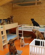 V.I.Pets Gossau Bild 7