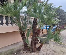 Bastidon Jardin image 14