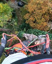 Woodfellows Baumfällung & Baumpflege
Adam-Kraft-Straße 3
90419 Nürnberg
Telefon: 01573 8265753
E-Mail: baumpflege@woodfellows.de