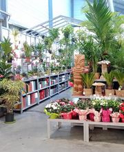 Brico Leclerc image 4