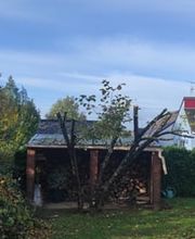 Baum élagage image 5