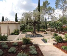 Auffray Paysage EURL image 16