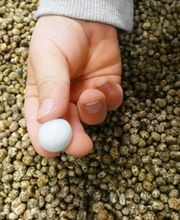 Lernwerk Ergotherapie Celle Bild 14