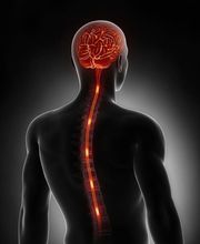 Float und Chiro Praxis Meersburg Bild 12