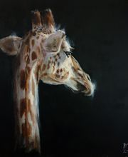 Cedat Marie-Joëlle image 17