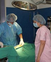 Clinique Vétérinaire des Docteurs Bichot et Esnault image 4