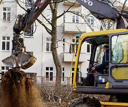 Gebr. Brodmann Garten- und Landschaftsbau Bild 1
