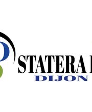 STATERA-PI DIJON Magnétisme image 1
