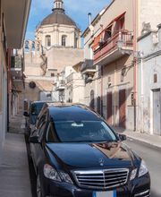 Gallery Professionale