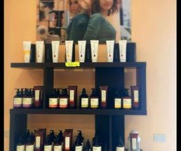 Gallery Cliente