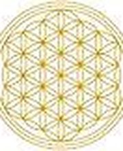 Zaniol Pascal image 12