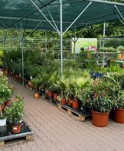 HORNBACH Gartencenter Magdeburg Bild 5