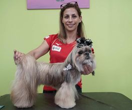Dog Center image 3