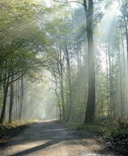 achtsam bestatten GmbH – vormals Sandro Lüthi Bild 1