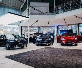 STERNAUTO Bild 10