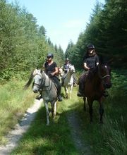 Centre équestre La Sabretache Les Chevaux de saint Victor image 3
