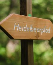 Wegebeschilderungen helfen bei der Orientierung im FriedWald Friedenweiler.