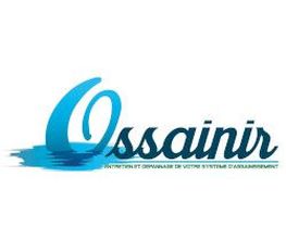 Ossainir image 3