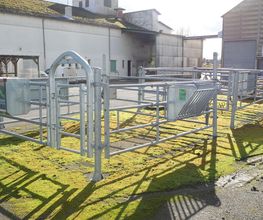 Gamm Vert image 3