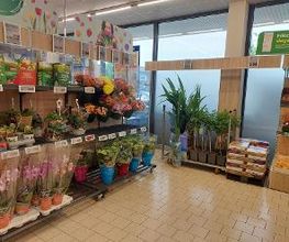 Lidl Bild 2