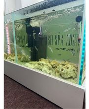 Complementary Physio GmbH Bild 2