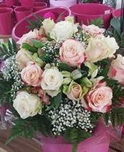 Jardinerie Bretière image 6