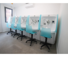 Gallery Cliente