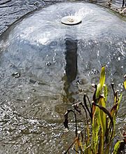 Articoop services image 2