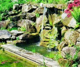 Sieben Elemente Jonathan Dieter Gartengestaltung Bild 6