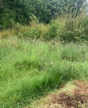 Rs Multiservices image 10