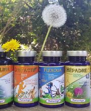 Espace Nature Hyperbio image 5