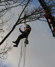 Kraneinsatz_164.jpg