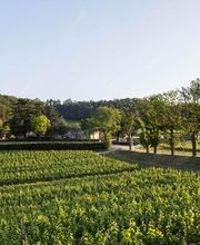 Domaine de Baronarques image 1