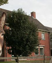 De bewoners van de weide